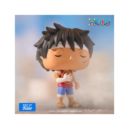 Funko Pop Pop! Monkey D. Luffy (Marineford Memorial) with Pop! Protector - Officielle One Piece