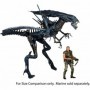 Alien Xenomorph Reine Ultra Deluxe