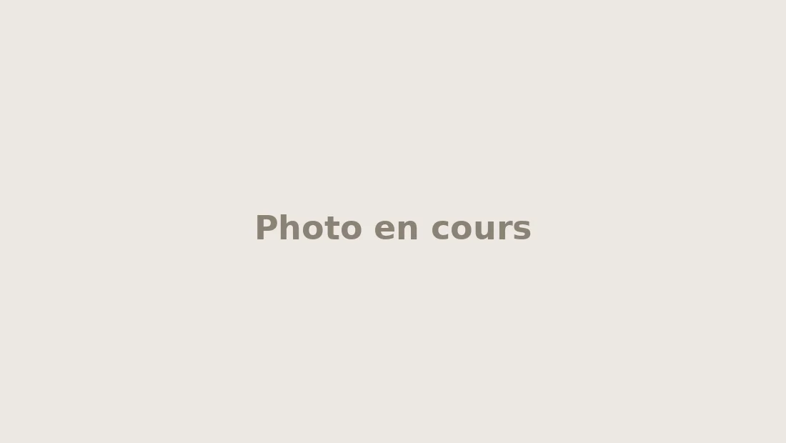 Bureau de collectionneur avec plusieurs figurines Funko Pop déballées et un carnet